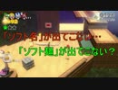 【マリオ3Dワールド】協調性は無くてもクッパごとき倒せる！ part3