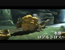 【3人旅】たぬきの狩猟生活 in MHXX Part-03