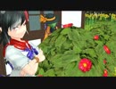 【東方MMD】　孤高の花と天邪鬼　下