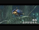 【MHXX：NS】ほぼ矢切りの討伐記録（村下位）。その 16【プレイ動画】