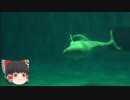 ゆっくりれいむのアクア放浪記　#29　しまね海洋館アクアス