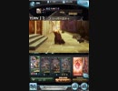 【グラブル】90HELLパイア・ソー【オルガ】