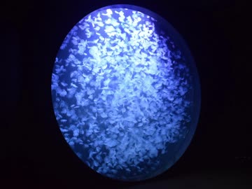 【ゆっくり】徒歩で日本一周part188【鶴岡】