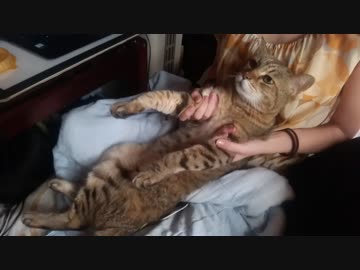 無気力なおばあちゃん