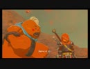 【実況】シリーズ完全初心者がブレスオブザワイルドやるpart43