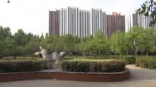 中国の公園。。。