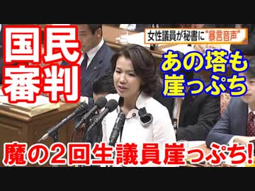 【国民の審判を仰ぐ】 ２度目のチャンスはいらない！