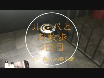 【蓮スタ】ルンバと散歩⑤【藤森蓮】今日もくるくる。