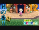南の島で乱獲!!【♯12】 とびだせどうぶつの森　実況