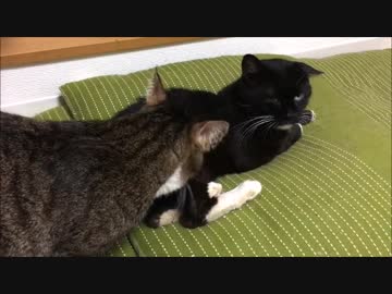 【こげつく】おにぎり(仮)になりました