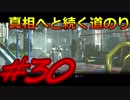 【実況】恐怖に抗えないヘタレのPSYCHO BREAK #30【もはや霊障だよコレ】