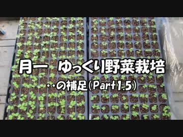 月一 ゆっくり野菜栽培 Part1.5