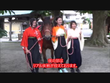 【木曽馬】かわいい馬をじっと見る動画