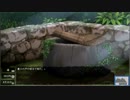 【妹ぼっち】これは何かの調査報告【Colors/Forest】part35