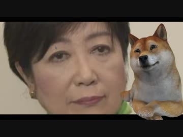 柴犬さんが選挙考察します