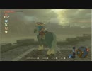 【YTL】もこう『ゼルダの伝説 ブレス オブ ザ ワイルド』part89