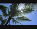 【癒やし】リラックス動画part2