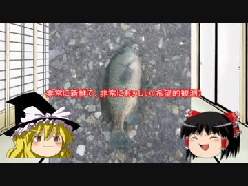 ゆっくり達と食料を調達するVol.5 【釣り】山下公園行けばいいじゃん