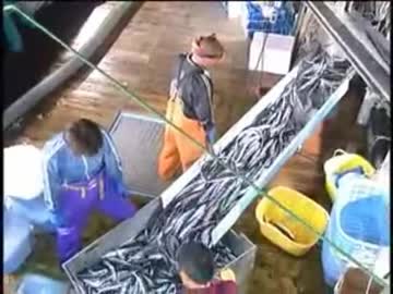 ガチのサンマ漁の資料映像に艦これの秋の秋刀魚祭りBGM乗せてみた2017