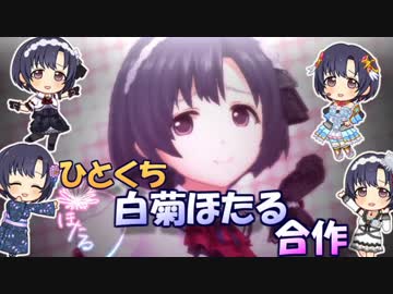 ひとくち白菊ほたる合作