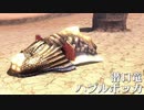：D モンスターハンターXX【実況】9話
