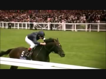 フレンズを動物ドキュメンタリーで紹介するよ part23