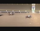 2017年9月29日船橋競馬11R 金風特別(B2-二組以下) オルキスリアン
