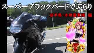 ｽｰﾊﾟｰﾌﾞﾗｯｸﾊﾞｰﾄﾞでぶらり　岩手県・本州最東端　編