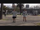 えれくとりっく・えんじぇぅ踊ってみた【きいさき】【初投稿】