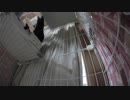 【Jean & Pont 570】 保護猫４ニャン（大人２子供２）のお留守番