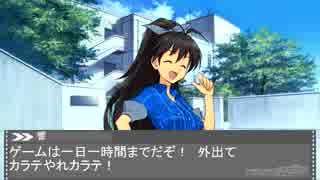 【NovelsM@ster】　よくある涼のアイドルデビュー　パターン２