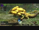 ：D モンスターハンターXX【実況】11話