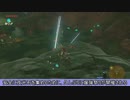 自由すぎるリンクの冒険【プレイ動画その１７６】