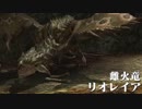 ：D モンスターハンターXX【実況】13話