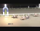 2017年9月30日高知競馬11R 仲秋特別(C2-1組) サクラマニフィーク