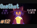 それは"一度限り"のプレイ【OneShot】12
