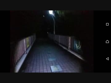 はねたき橋　謎の光　ニコ生　心霊外配信