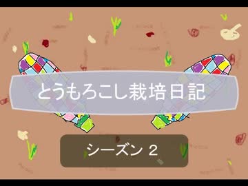 【第二期】とうもろこし栽培日記【その21】
