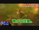 初心者にやさしいディアブロ3実況【ネクロマンサー】#14