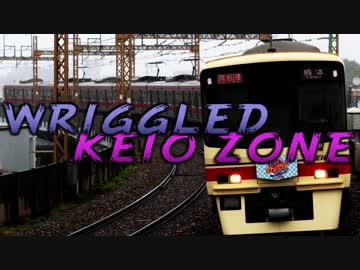 WRIGGLED KEIO ZONE