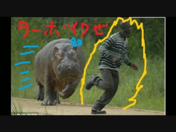 ギャン子専用機作る