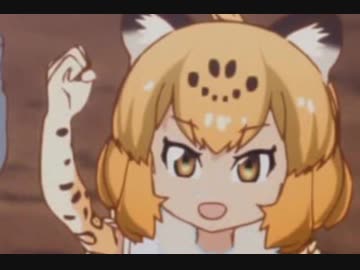 (ｳｨｰ)ジャガー耐久