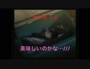 『かまいたちの夜２』初見実況プレイpart3
