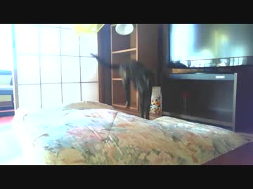 旅先でもやってくれました＾＾；