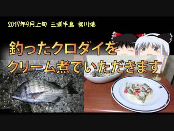 釣ったクロダイをクリーム煮でいただきます。