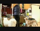 世の中に悪い犬はいない150312-1