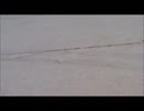 二人セゾン