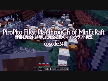 情報完全遮断完全初見でマインクラフト#34