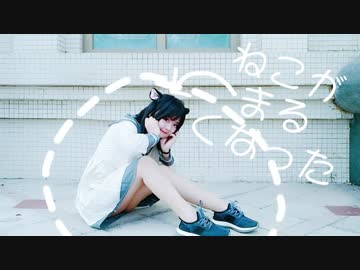 ★のりか/ねこがまるくなった@オリジナル(*/ω＼*)