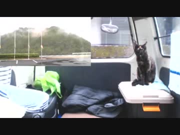 旅行中のあずきの様子 四国編